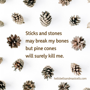Sticks and stones may break my bones, but pine cones will surely kill me